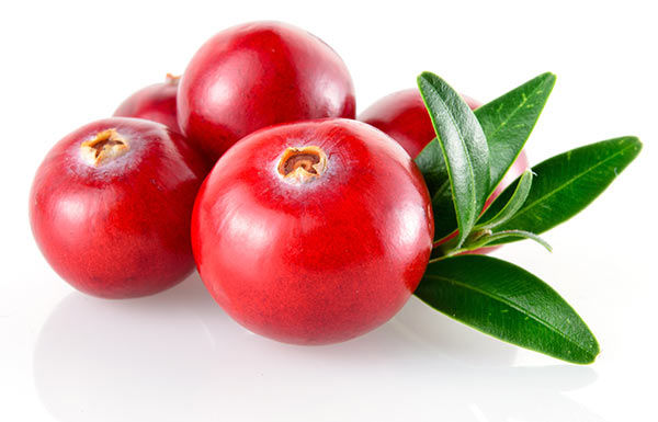 Ekstrak Cranberry