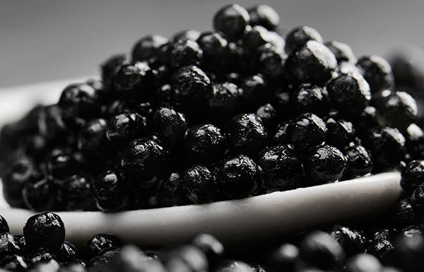 Caviar