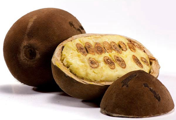 Cupuacu Butter
